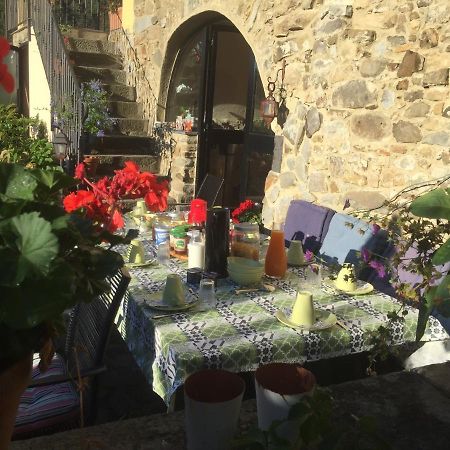 B&B Il Tulipano Polverara Eksteriør bilde