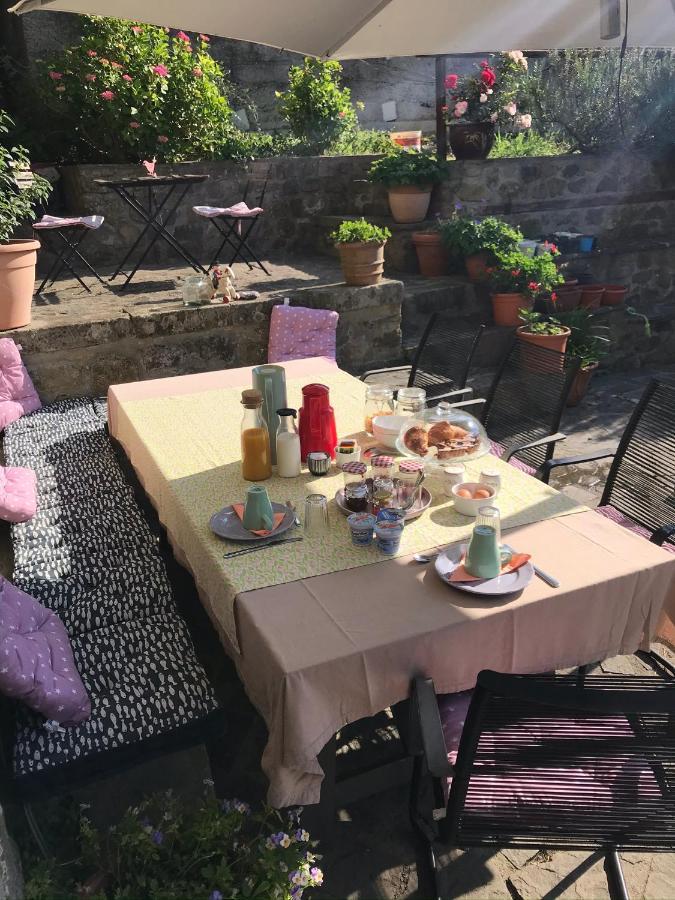 B&B Il Tulipano Polverara Eksteriør bilde